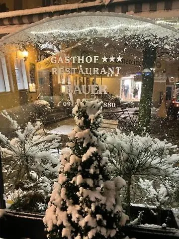 Hotel Bauer 3*